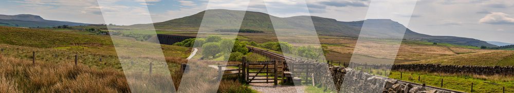 Walmsley Wilkinson recruitment solutions